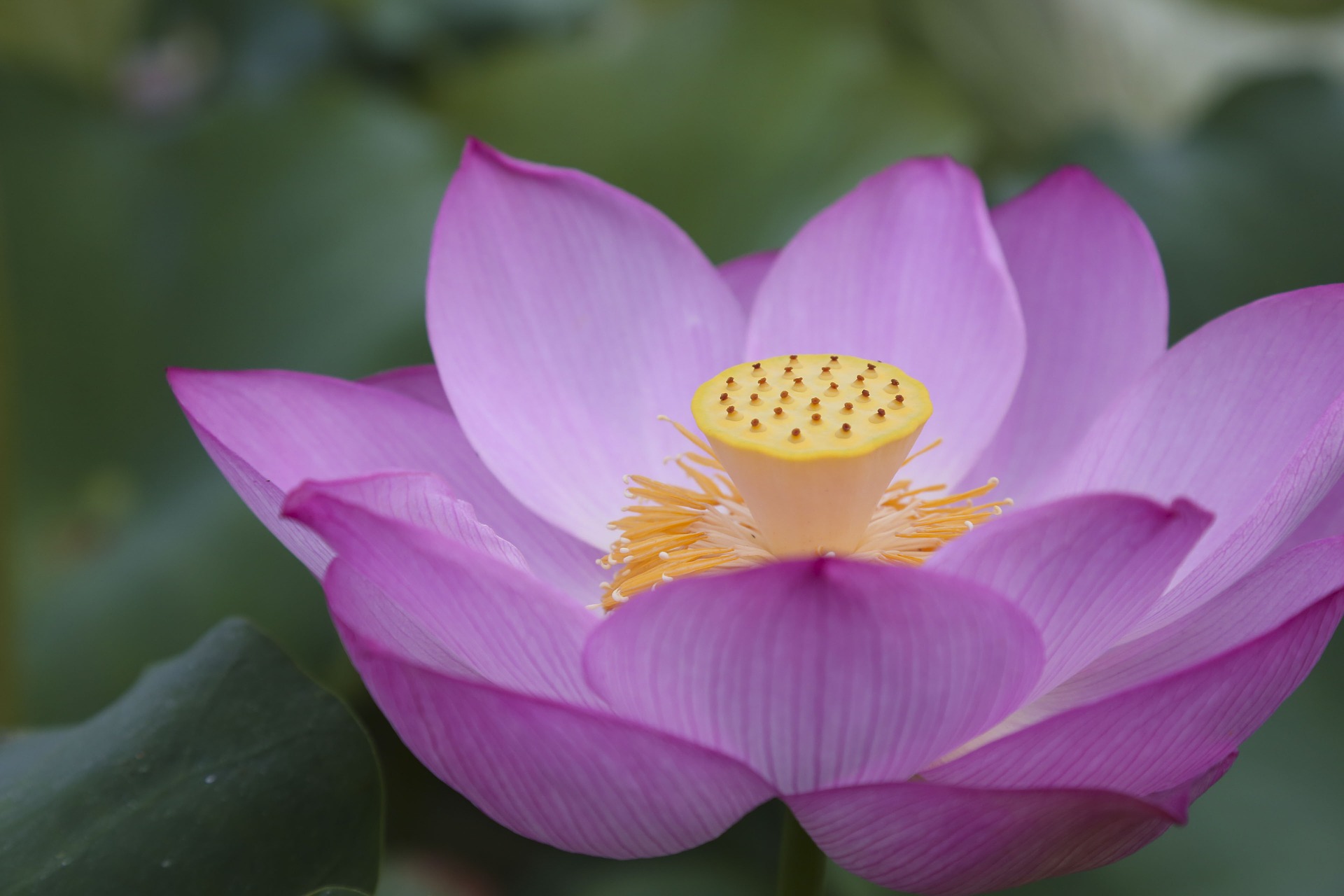 Group cover image