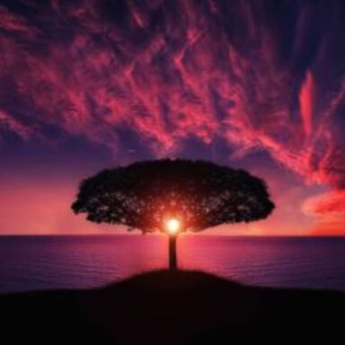 Buddhismus & Meditation